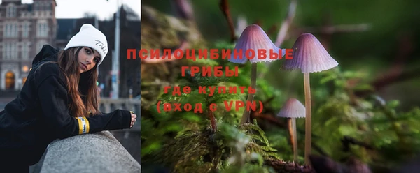гидра Абаза
