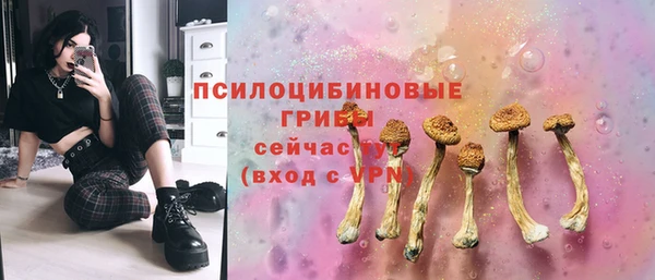 2c-b Алексеевка